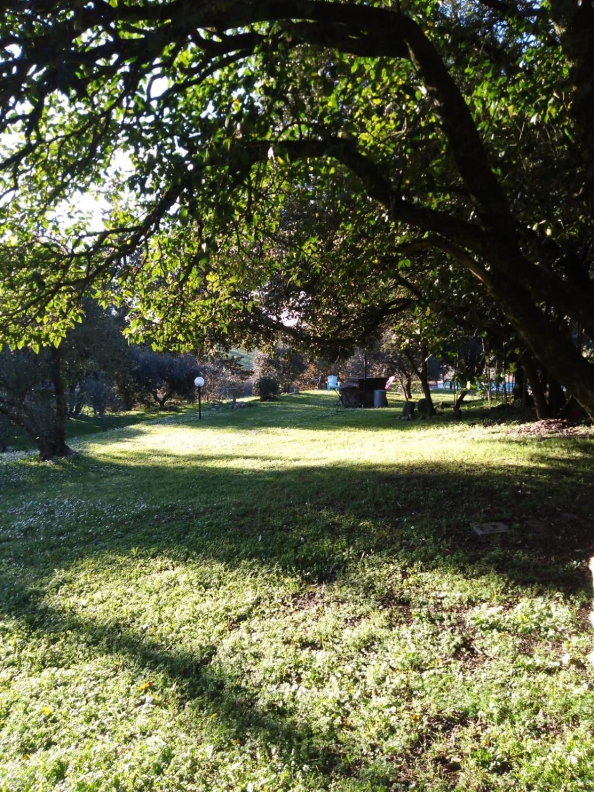 Agriturismo La Torre Di Monsindoli Siena Zewnętrze zdjęcie