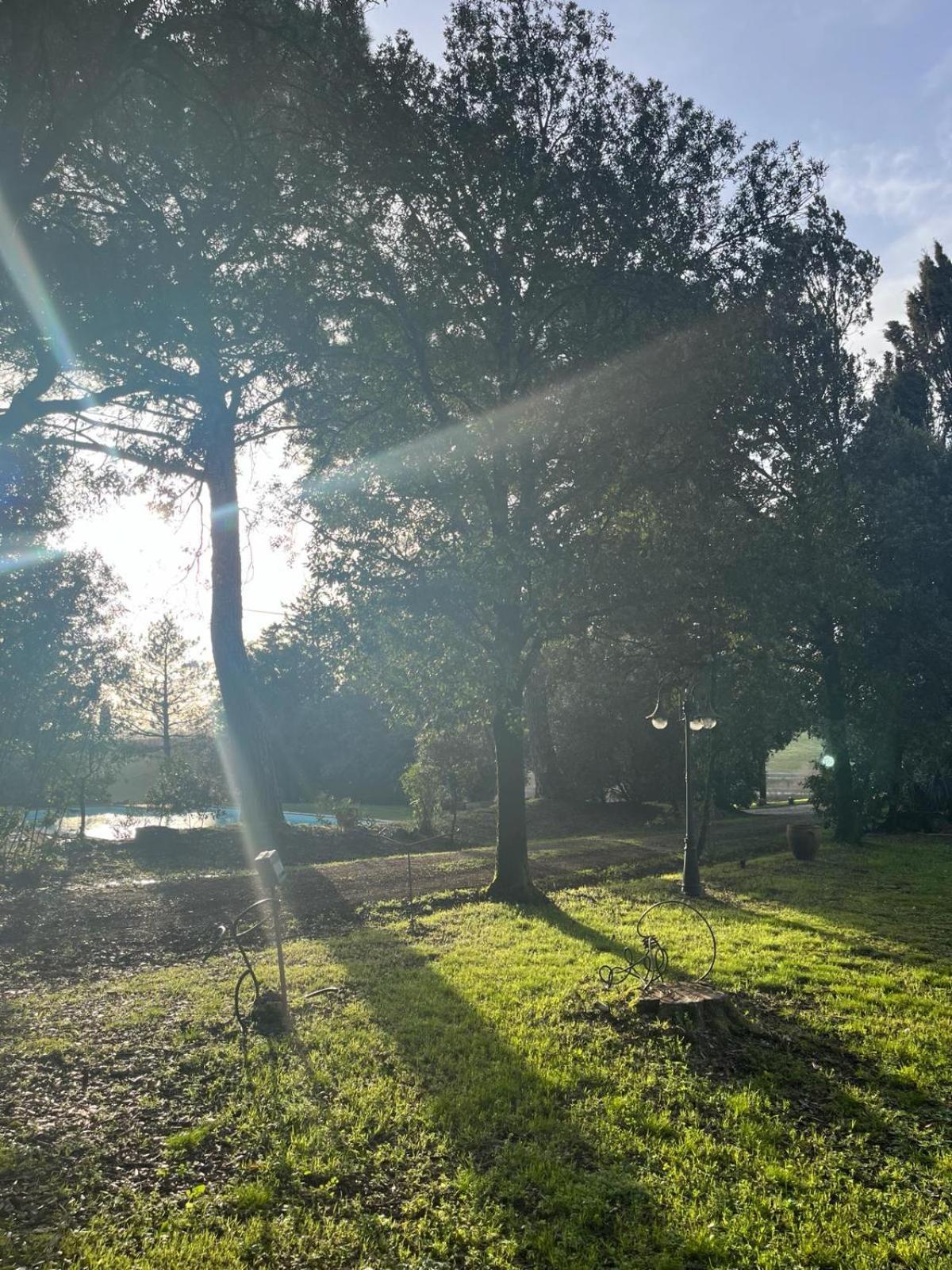 Agriturismo La Torre Di Monsindoli Siena Zewnętrze zdjęcie